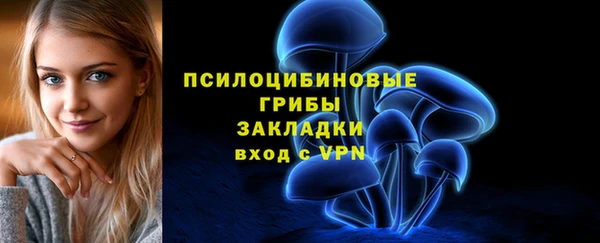 гашик Балабаново