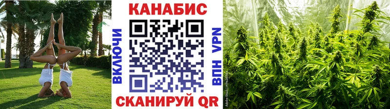 Конопля план  Кизилюрт 